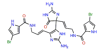 2-Debromonagelamide P